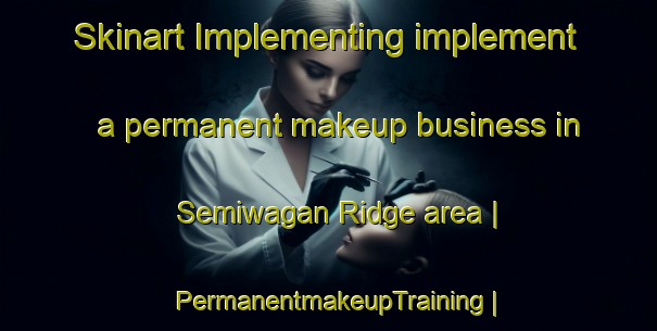 Skinart Implementing implement a permanent makeup business in Semiwagan Ridge area | PermanentmakeupTraining | PermanentmakeupClasses | SkinartTraining-Canada